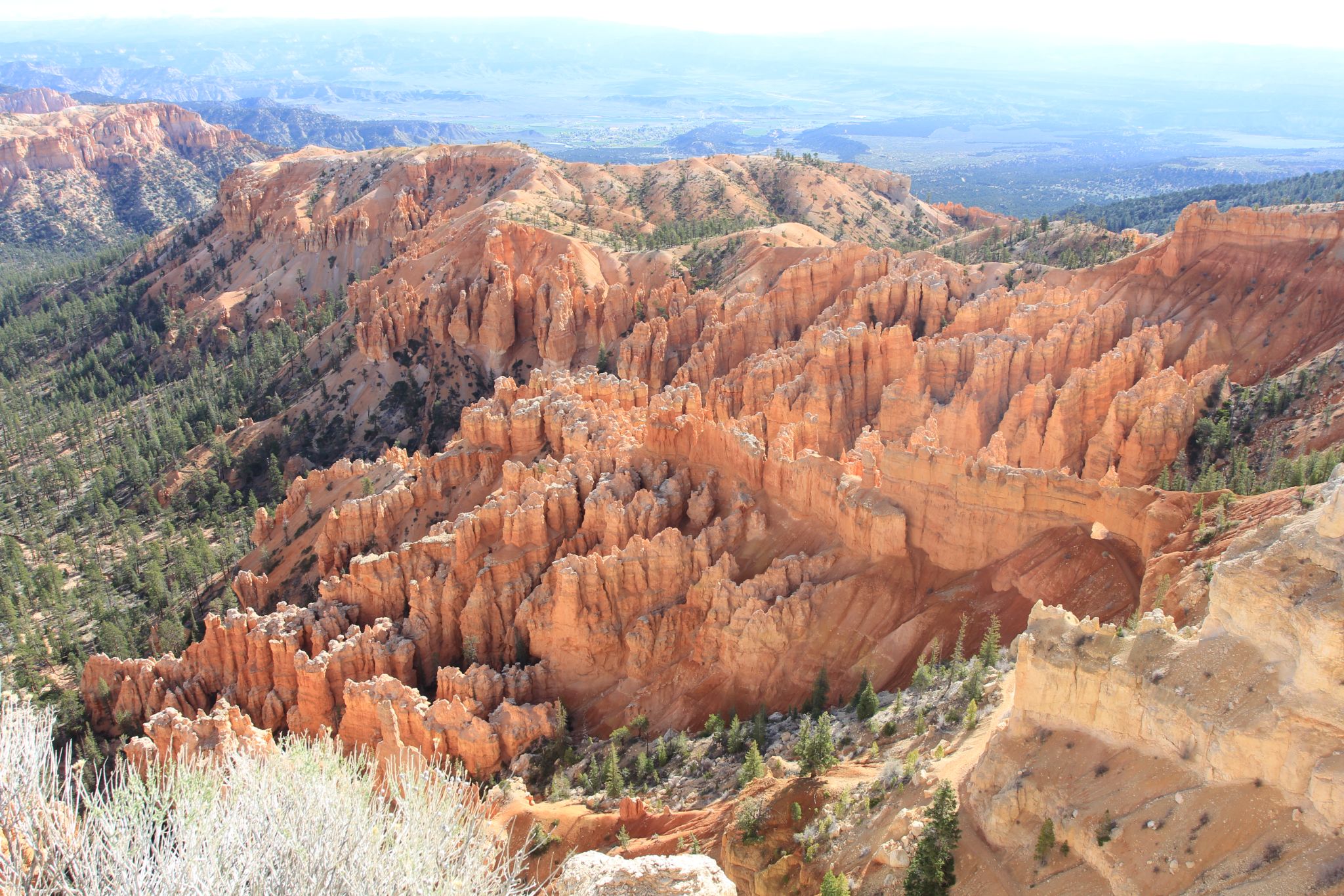 IMG 2746   Copie (2)